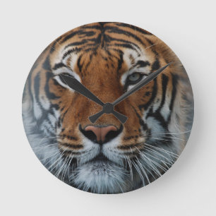 Relógio Redondo Tigre Gato Stripes Selvagem