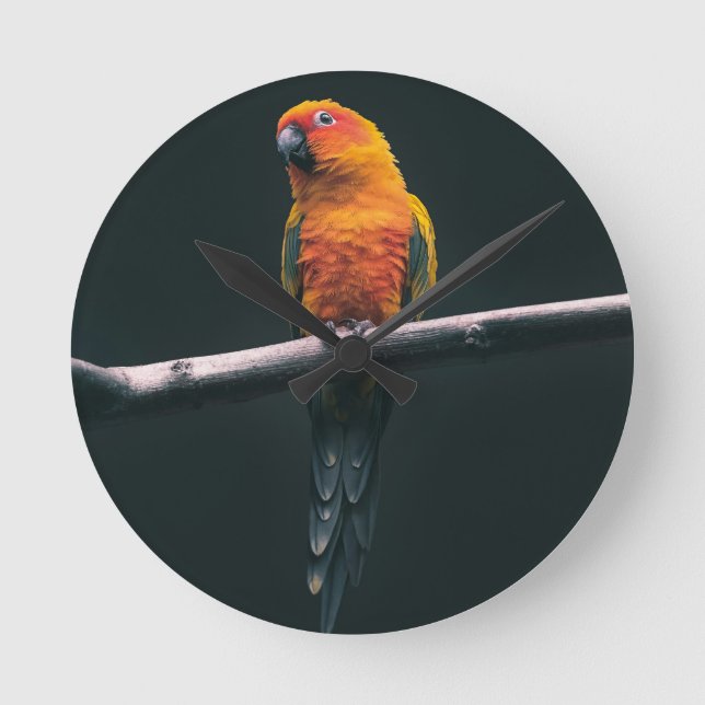 Relógio Redondo Título: "Exclusive Parrot Ball Clock Design - (Frente)