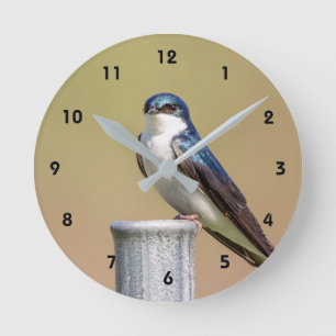 Relógio Redondo Tree Swallow