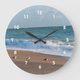 Relógio Redondo três aves em terra foto florida praia