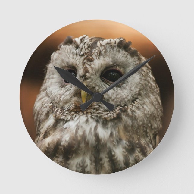 Relógio Redondo Twany Owl (Frente)