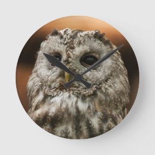Relógio Redondo Twany Owl