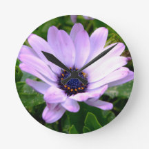 Um Centro de Aranhas