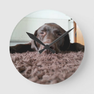 Relógio Redondo um lindo cachorrinho de chocolate dormindo em uma