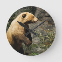 Urso Ordenado