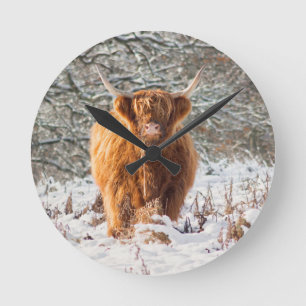 Relógio Redondo Vaca do planalto escocês na neve