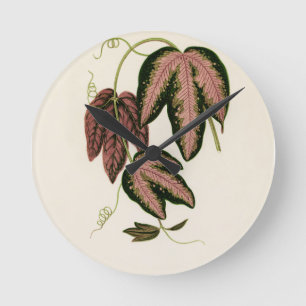 Relógio Redondo Vinha de Passão de três cores (Passiflora Trifas