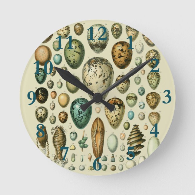 Relógio Redondo Vintage Bird Ovos de Peixes Franceses (Frente)