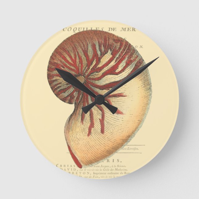 Relógio Redondo Vintage Red Conch Shell (Frente)