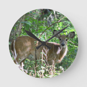Relógio Redondo Whitetail Deer Acrylic Wall Clock