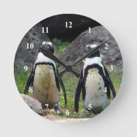 Wildlife Penguin Pair Photo