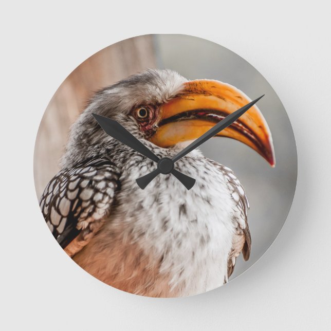 Relógio Redondo Yellow Biled Hornbill (Frente)