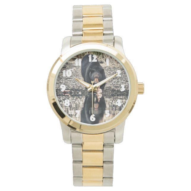 Relógio Reflexões do Urso Negro (Frente)