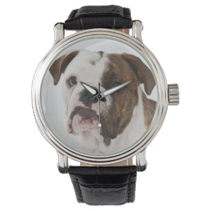 Relógio Retrato do filhote de cachorro bonito do buldogue