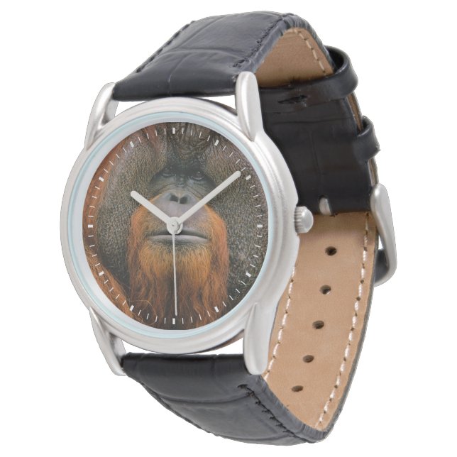 Relógio Retrato do Orang-utango Macho, Geórgia, EUA (Angular)