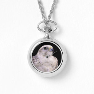 Relógio Retrato Vignetado de Falcão de Saker Inquisitivo