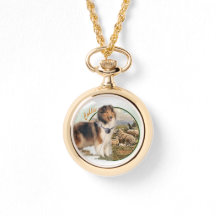 Rough Collie Keeper da ovelha