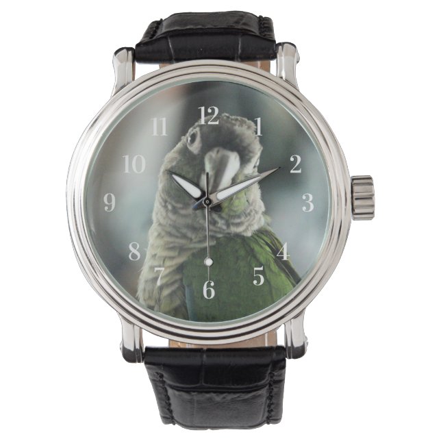 Relógio Sem mais ouriço (Frente)