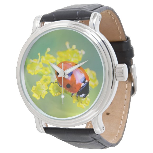 Relógio senhora no topo (Angular)