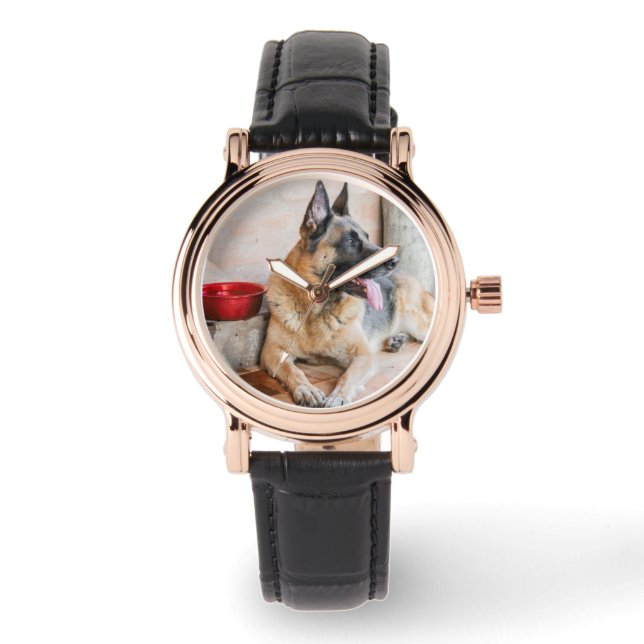 Relógio Sheperm Alemão Descansado Por Bacia Hidrográfica (Frente)