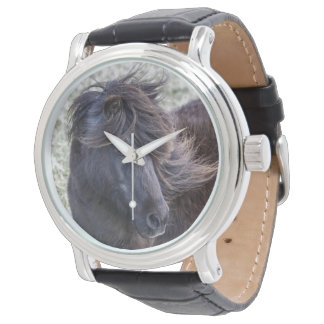 Relógio Shetland Pony Watch