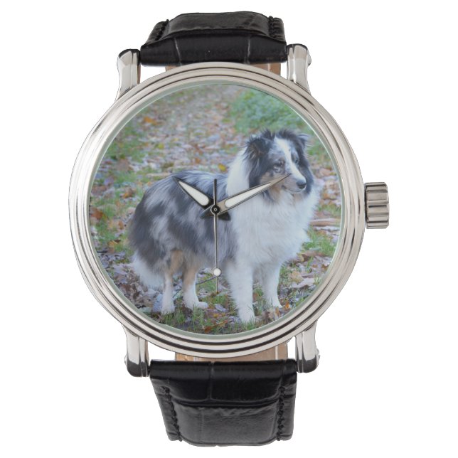 Relógio Shetland Sheepdog Blue Merle (Frente)