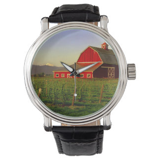 Relógio Sol noturno num celeiro em Washington Skagit