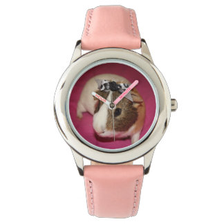 Relógio Suíno-guincho com Arco 2