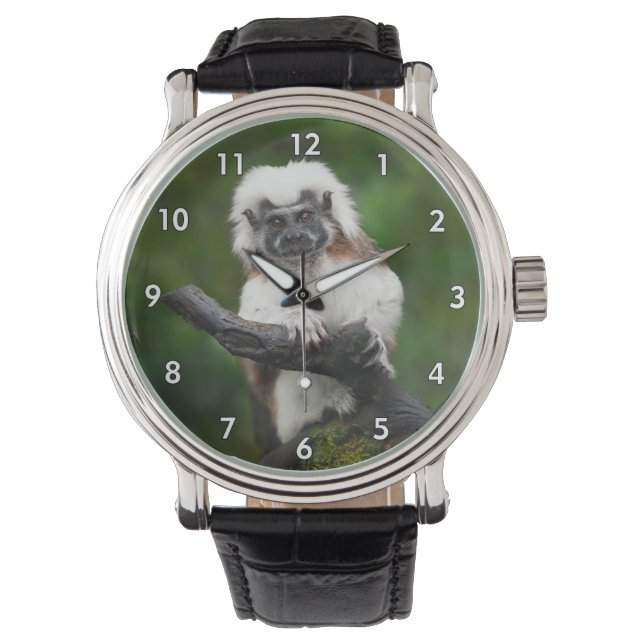 Relógio Super Cut Cotton Top Tamarin Primate (Frente)