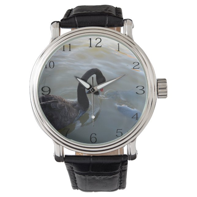 Relógio Swan Negro Observando Peixes Gigantes No Rio, (Frente)