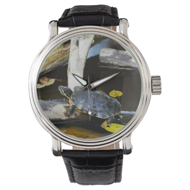 Relógio Tartaruga-de-coleira-nu na natureza (Frente)