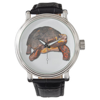 Relógio Tortoise Watch