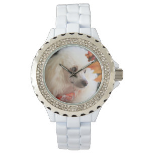 Relógio Toy poodle dog White Rhinestone Watch