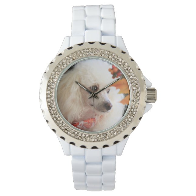 Relógio Toy poodle dog White Rhinestone Watch (Frente)