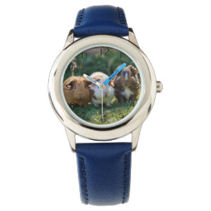 Relógio Três Porcos Bebê-Guiné,