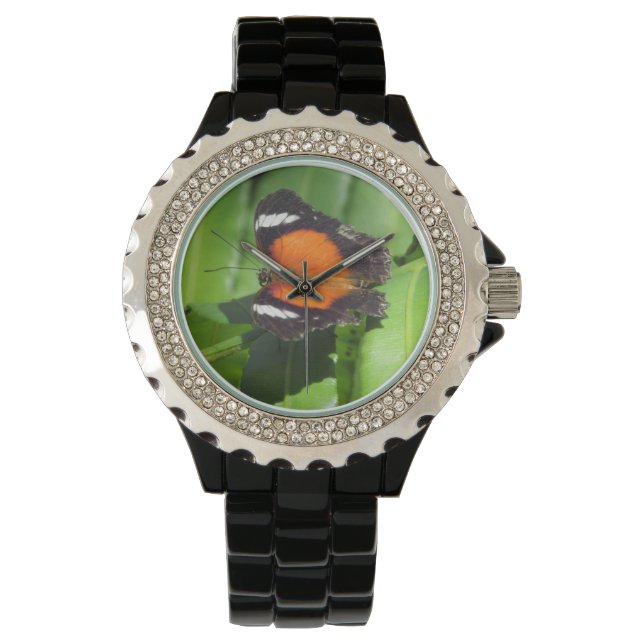 Relógio Tropical Butterfly Watch (Frente)