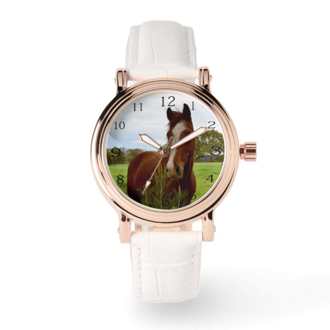 Relógio "Um Chifre da Natureza: Um Chestnut Horse e Banksi (Frente)