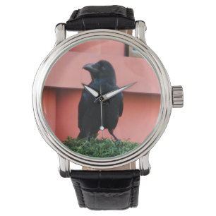 Relógio Um Corvo-Selvagem Grande Uma Perca Numa Árvore De