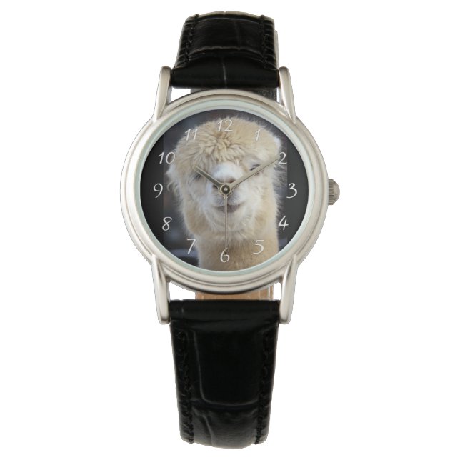 Relógio Um rosto fofo e fofinho de uma alpaca       (Frente)