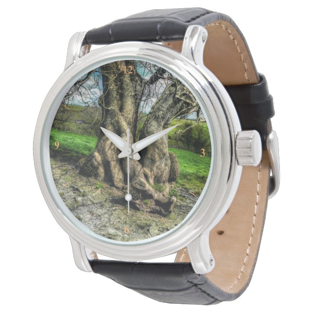 Relógio Uma árvore numa piscina de luz (Angular)