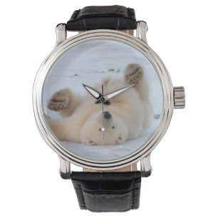 Relógio urso polar, Ursus maritimus, filhote rolando 3
