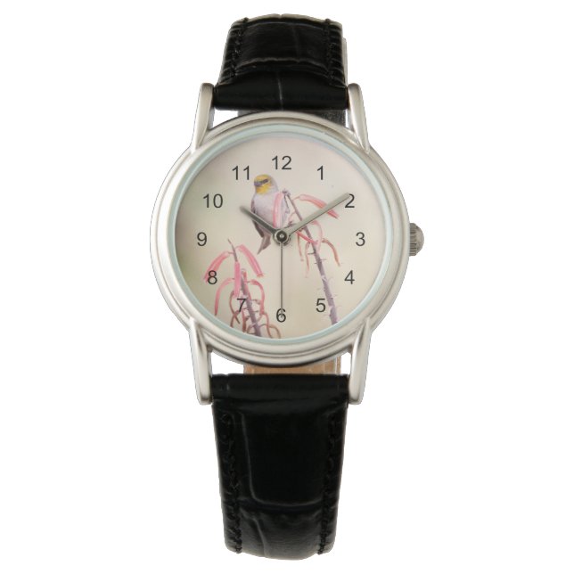 Relógio Verdin empoleirado no penstem (Frente)