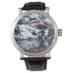 Relógio WA, Seattle, ponte de Lua e lagoa após o inverno 2