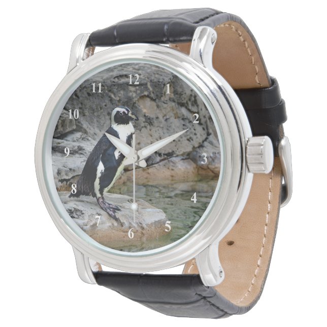 Relógio Wildlife Penguin Photo (Angular)