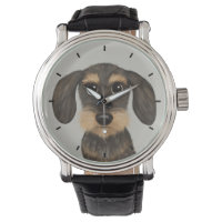 Wirehaired Dachshund | Cachorro de Cartoon Teckel