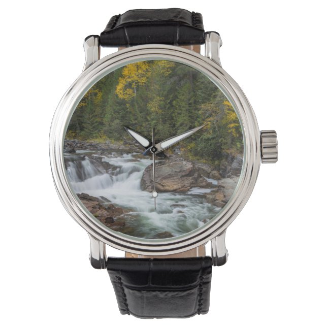 Relógio Yaak Cai No Outono No Nacional De Kootenai (Frente)