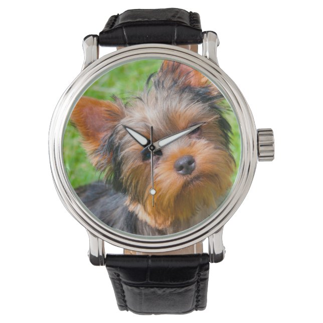 Relógio Yorkshire Terrier olhando para cima (Frente)