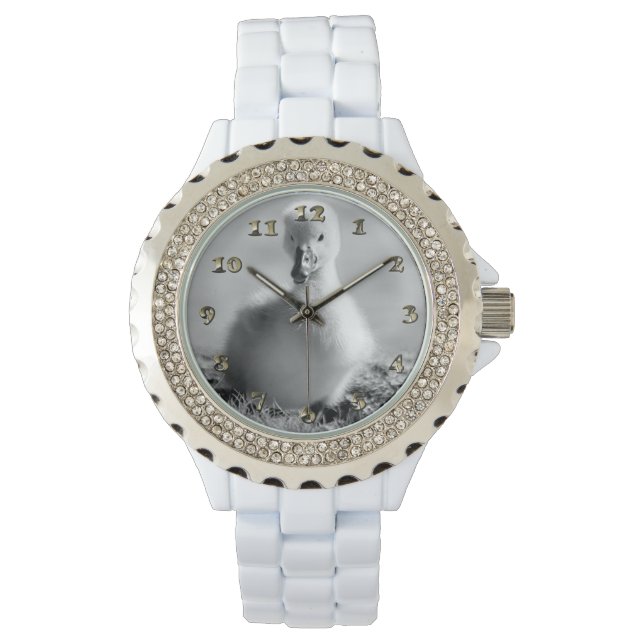 Relógio Young Duckling Swan (Frente)