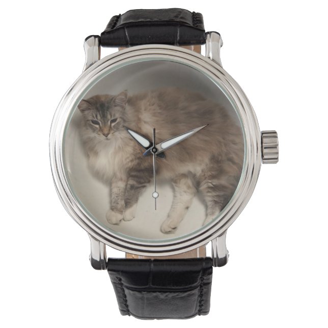 Relógios de Gato (Frente)