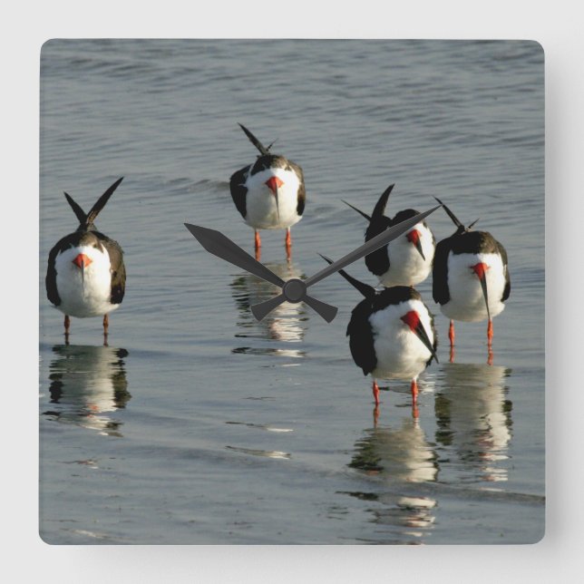 Relógios de Parede da Cozinha de Praia (Frente)